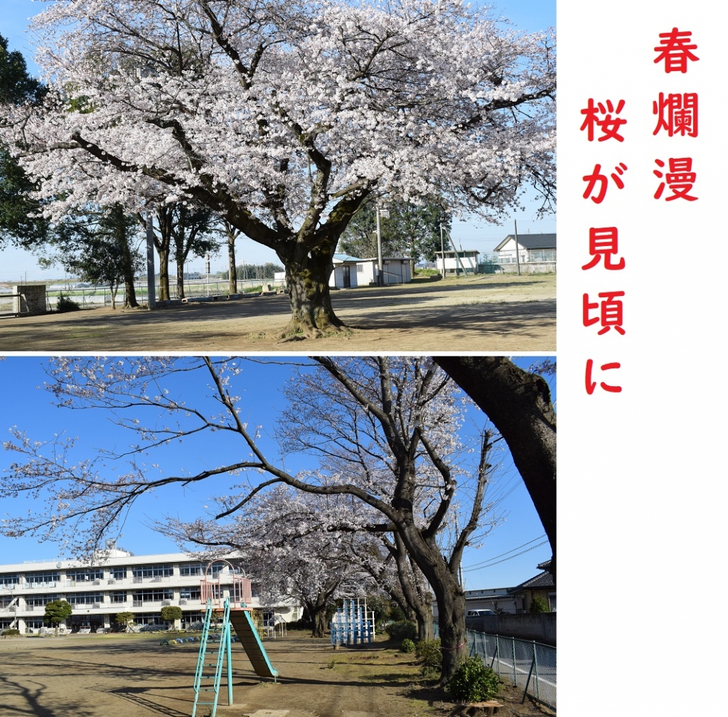 学校ブログ | 水海小学校